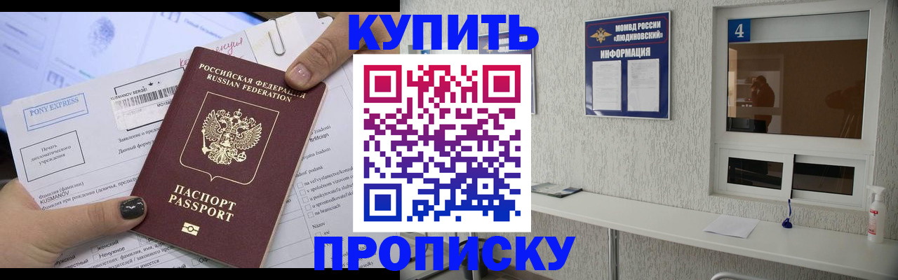 прописка в квартире в Новом Осколе